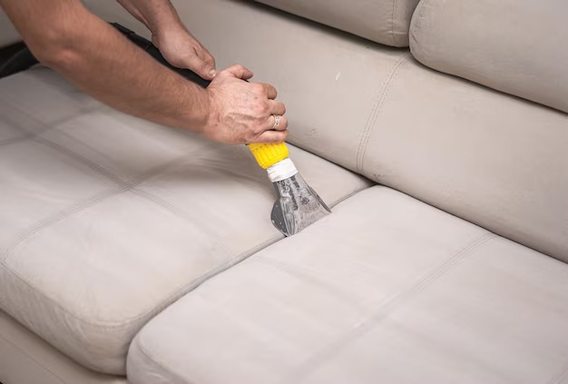 Upholstery Cleaning service